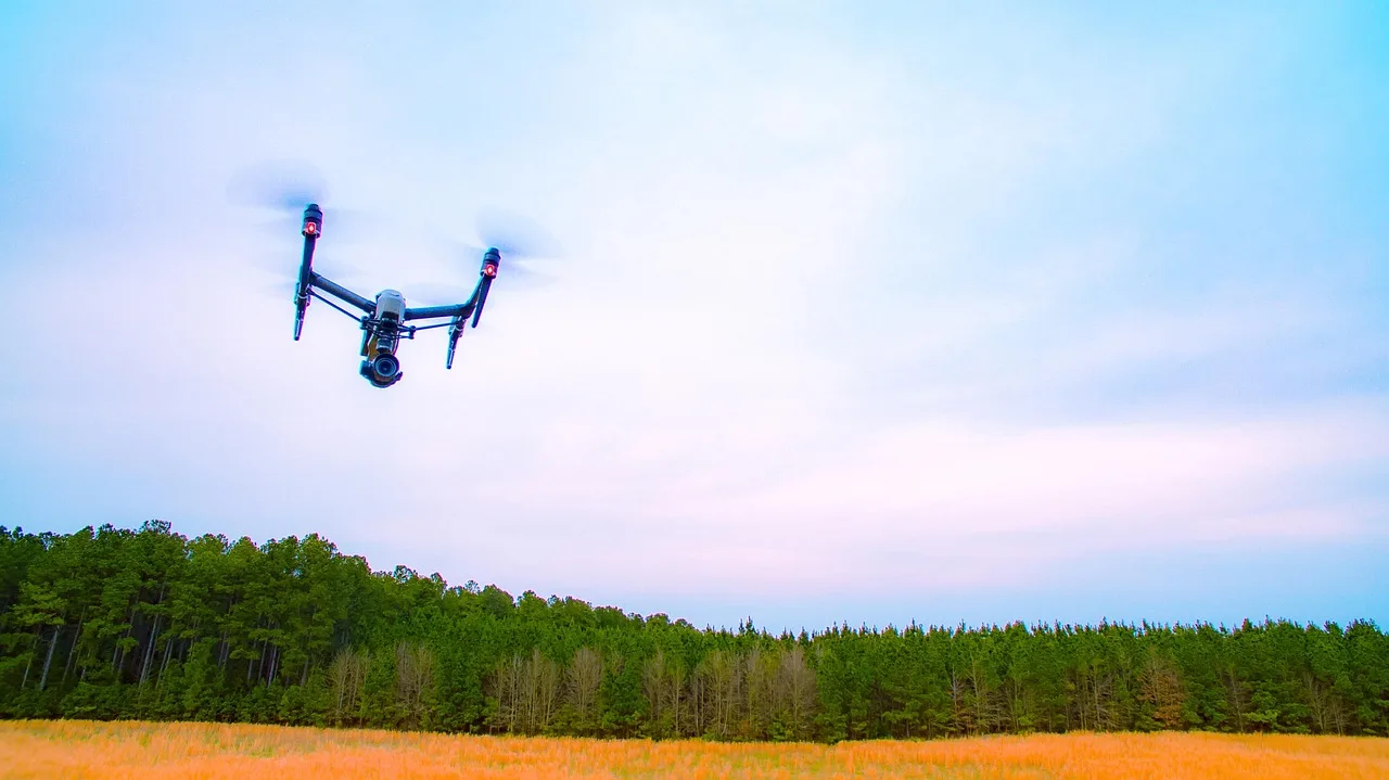 dji, inspire, drone, flight, nature, sky, air, aerial, quadrocopter, gimbal, camera, flying, technology, uav, electronics, video production, aerial photography, uas, hobby, spy, aircraft, pictures