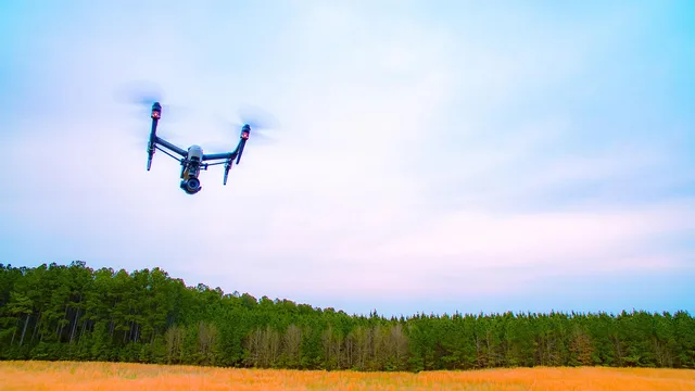 dji, inspire, drone, flight, nature, sky, air, aerial, quadrocopter, gimbal, camera, flying, technology, uav, electronics, video production, aerial photography, uas, hobby, spy, aircraft, pictures. How to structure a budget template for video marketing agencies
